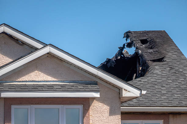 Top rated local Fire Damage Removal specialists in Elk River, MN